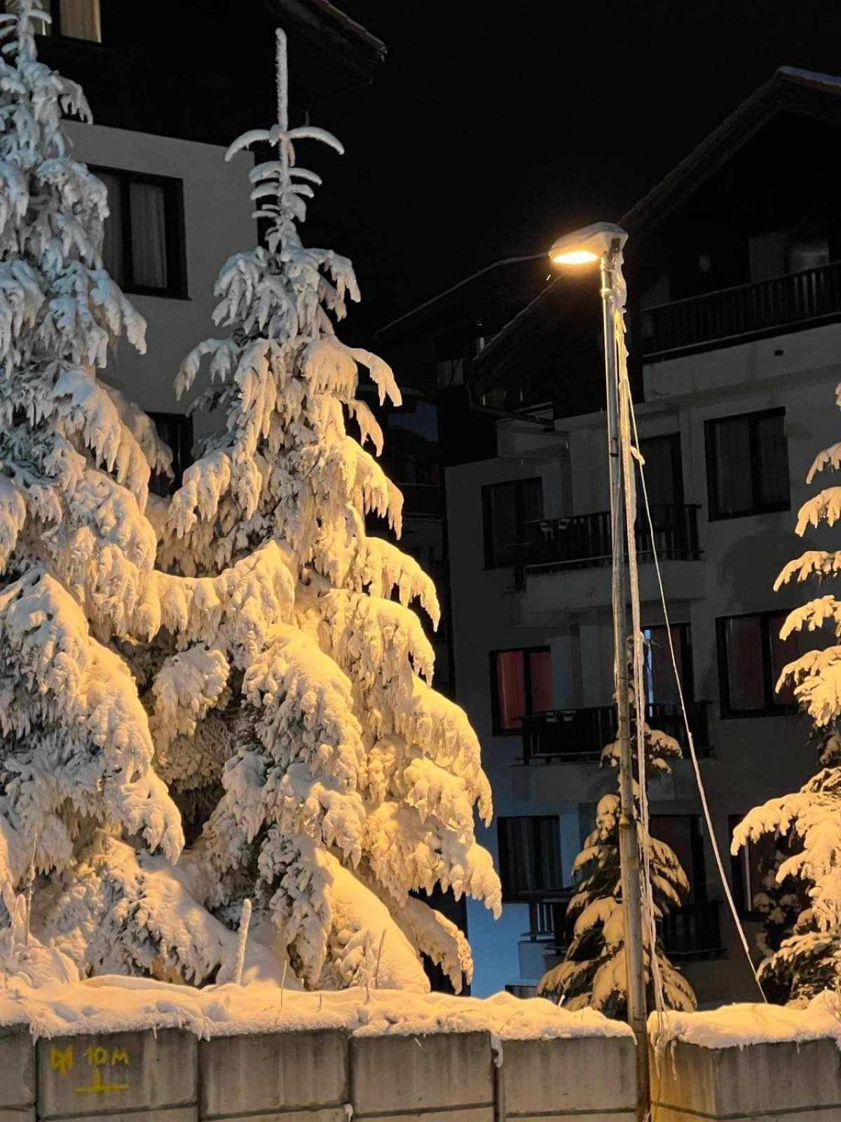 Арборо Боровец Гардънс Д35 Borovets Exterior foto