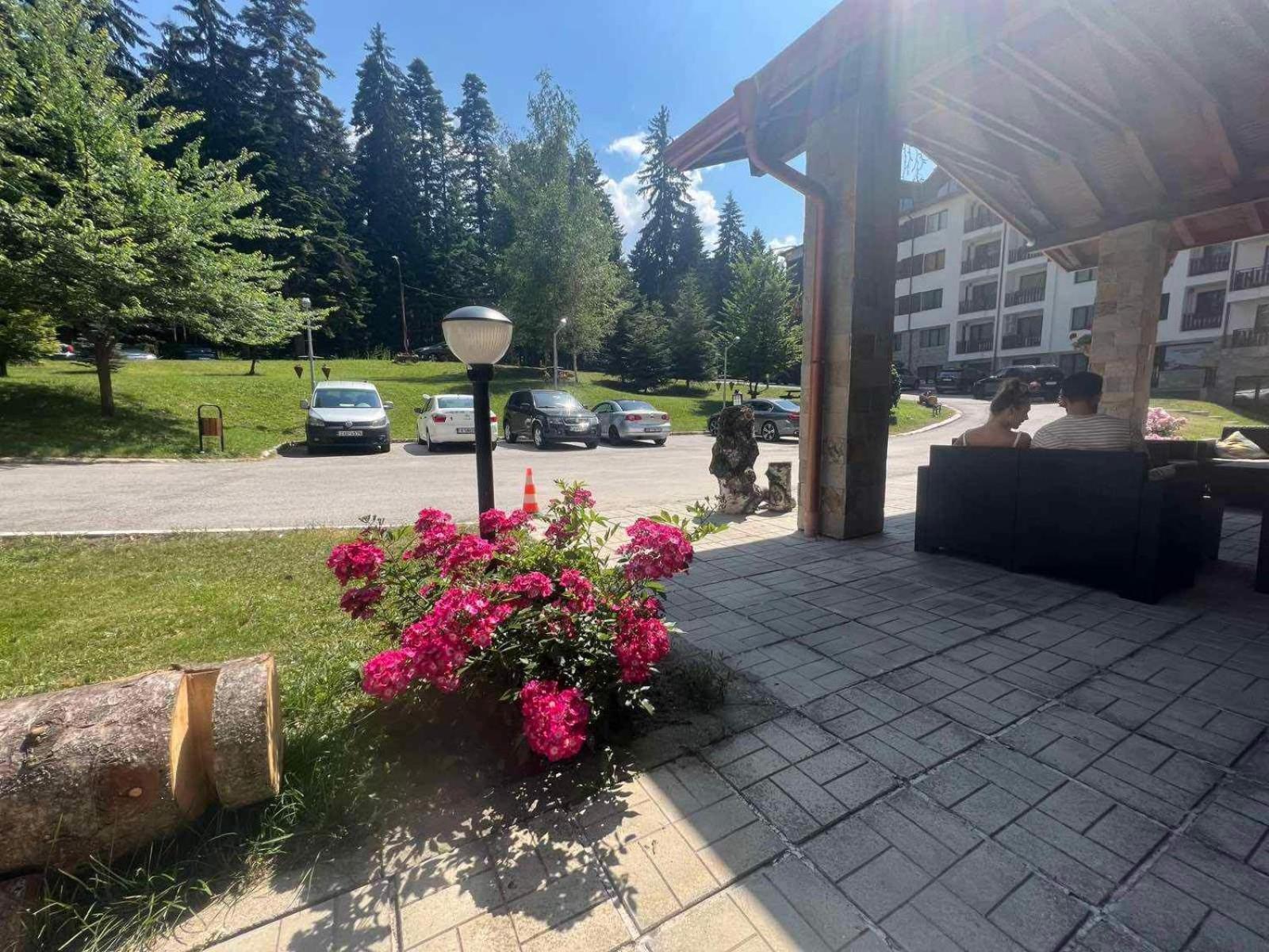 Арборо Боровец Гардънс Д35 Borovets Exterior foto