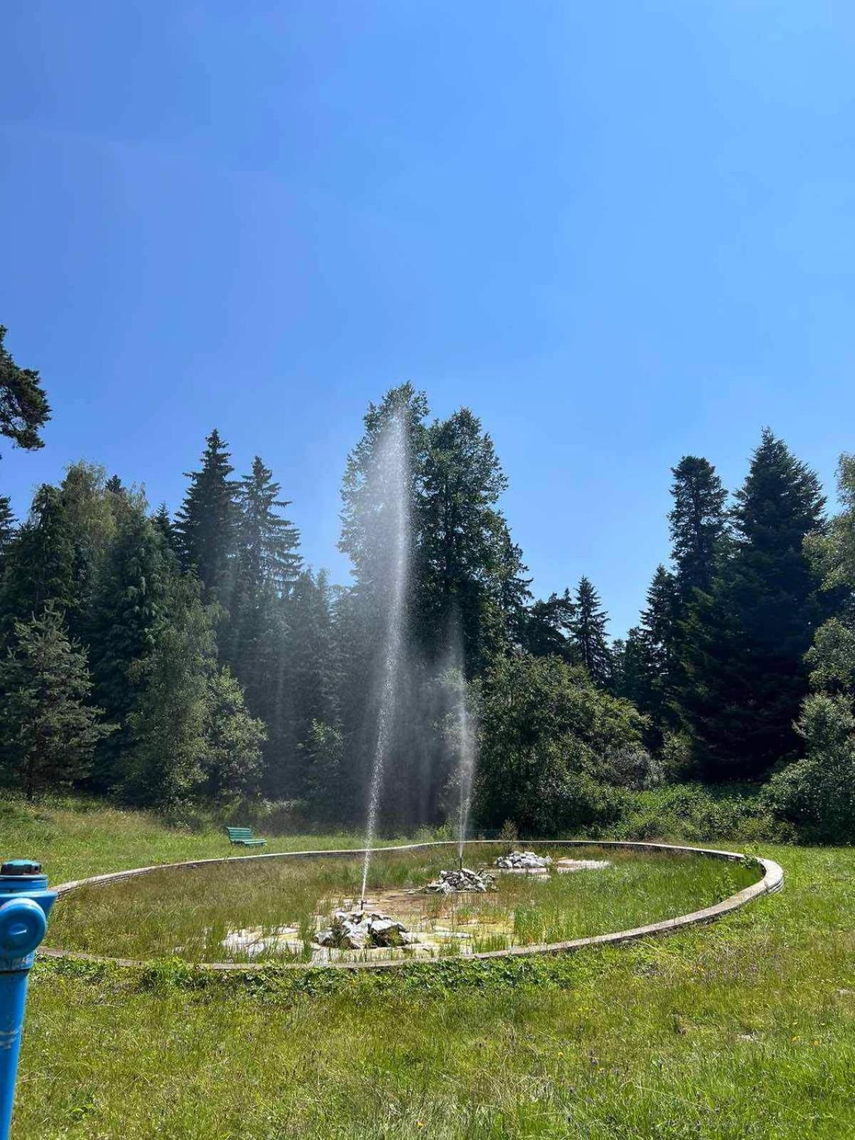 Арборо Боровец Гардънс Д35 Borovets Exterior foto
