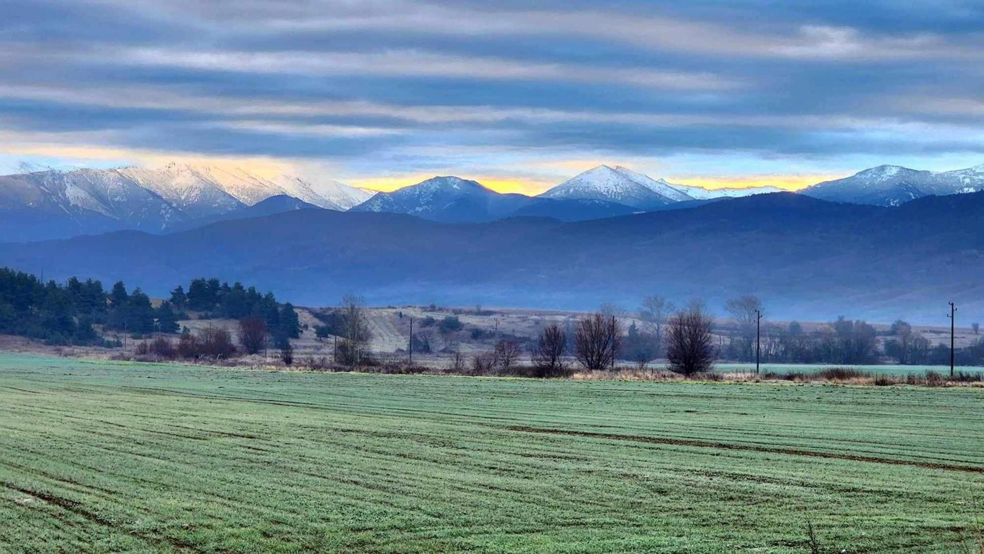 Арборо Боровец Гардънс Д35 Borovets Exterior foto