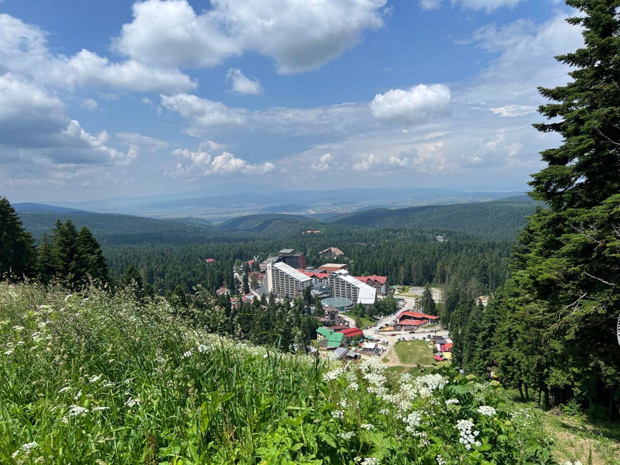Арборо Боровец Гардънс Д35 Borovets Exterior foto